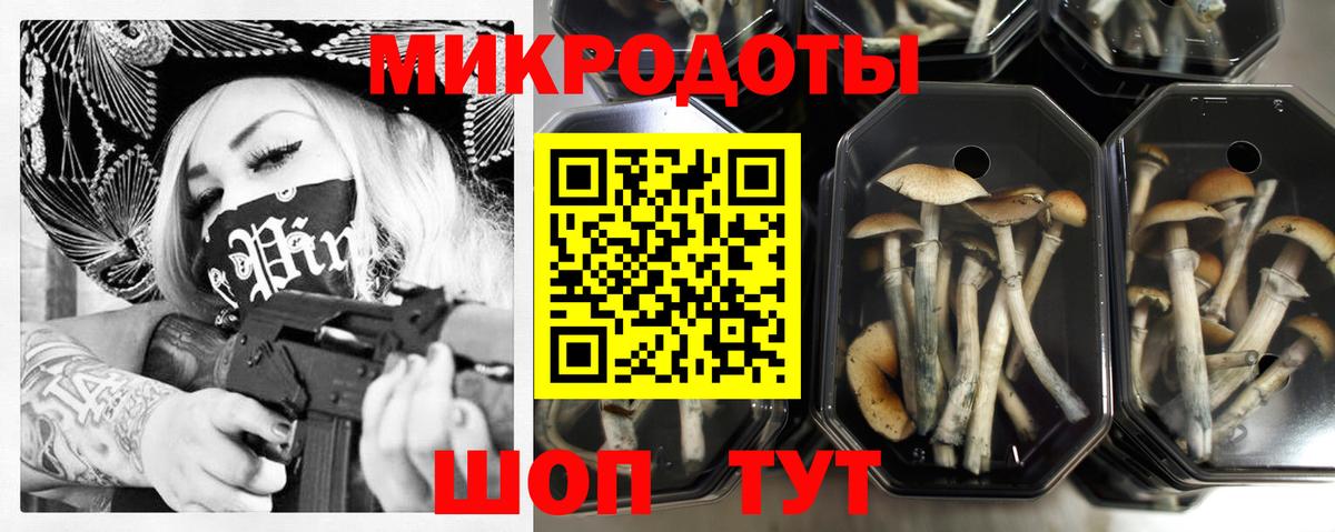 Галлюциногенные грибы прущие грибы Гудермес